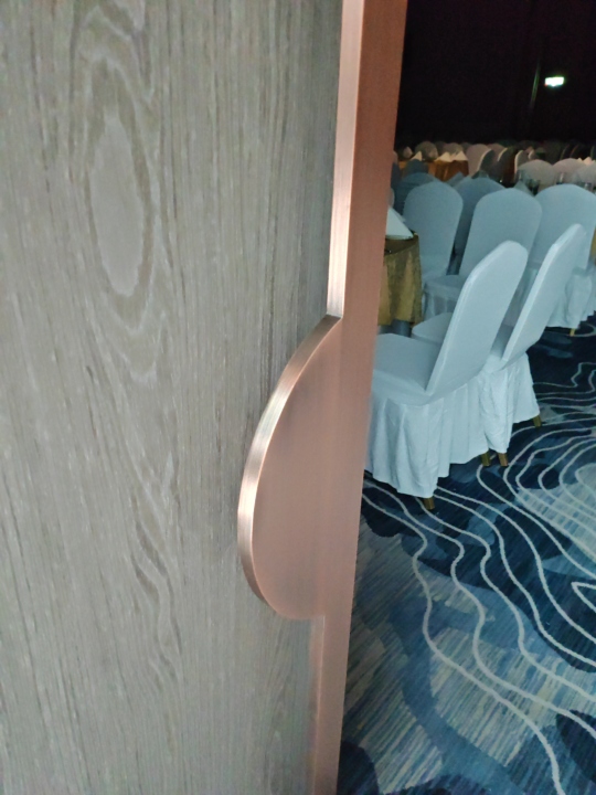 Antique brass sus pull push door handles